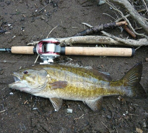 smallmouth bass caught in a river