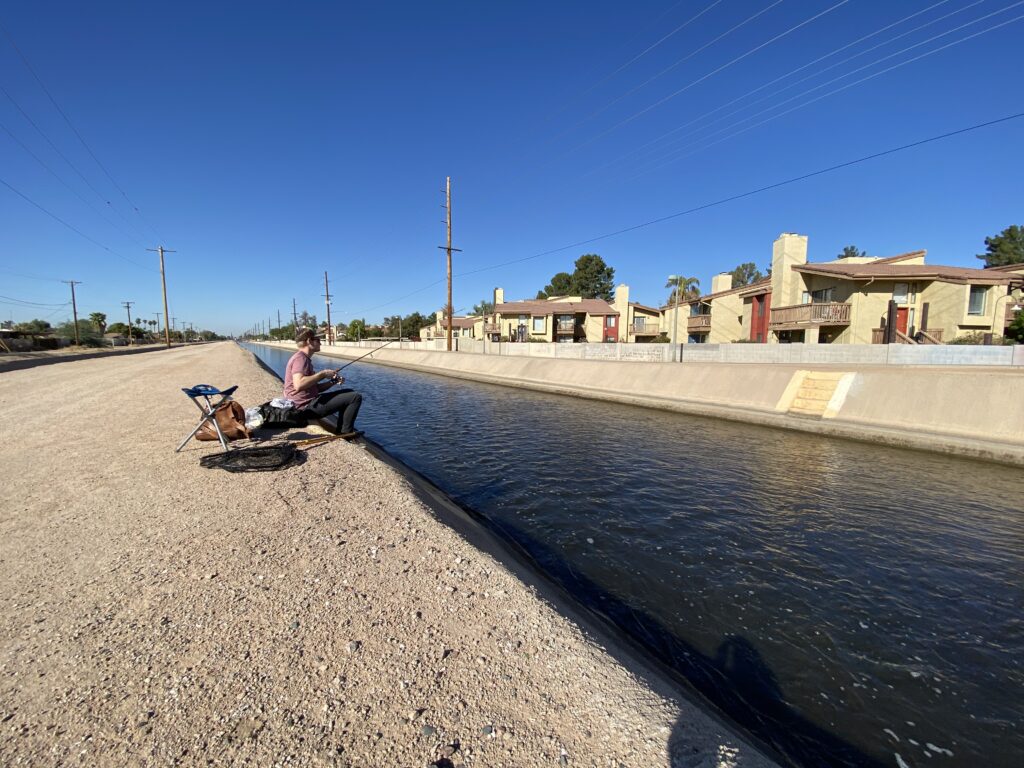 在亚利桑那州的运河里用面包抓草鱼