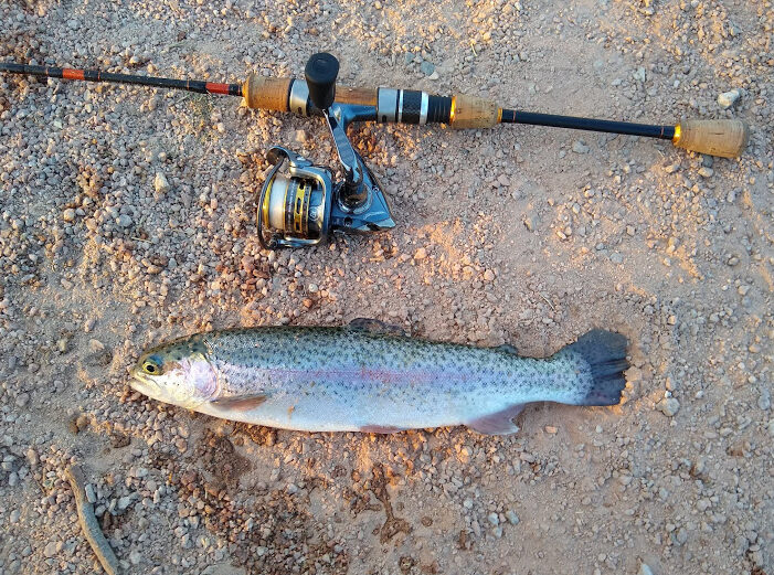 在亚利桑那州斯科茨代尔的查帕拉尔湖钓鱼开云体育客户端时捕获的鳟鱼